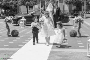 bianco e nero damigelle