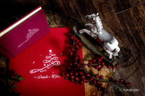 album fotografico cavallo